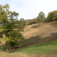 P1210237_ergebnis.JPG