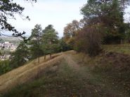 DSC05829_ergebnis.JPG
