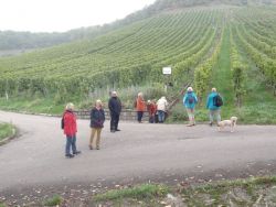 Wanderung